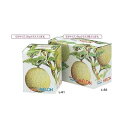 【屋号必須】ヤマニパッケージ メロン箱 L-61 イラストメロン 1ケ入 150×150×195mm 1ケース100枚入り メロン用/ダンボール