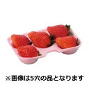 【屋号必須】イチゴ用ホールトレー イチゴFFクッション 8穴 100×145mm 1ケース1000枚入り いちご用/トレイ