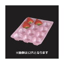 【屋号必須】イチゴ用ホールトレー いちごソフトパック 15穴 165×235mm 1ケース100枚入り