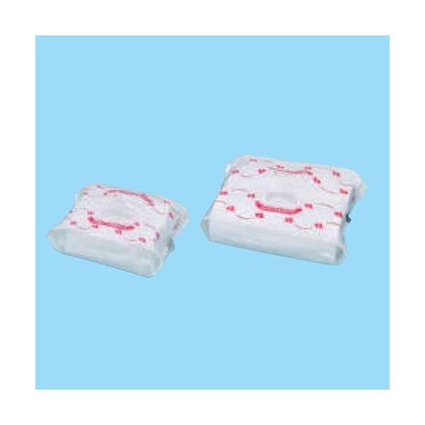 フルーツ用手提袋 苺ラピートバッグ M 0.03×410×260(40)mm 1ケース1500枚入 494501 信和