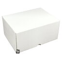 メロン箱 VR白箱 170(140)×225(205)×105mm 1ケース60枚入 621105 信和