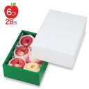 【屋号必須】フルーツ用ギフト箱 LTO-200 グロス 身グリーン 2 210×300×110mm 1ケース40枚入り ヤマニパッケージ