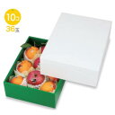 【屋号必須】フルーツ用ギフト箱 LTO-500 グロス 身グリーン 5 270×370×120mm 1ケース40枚入り ヤマニパッケージ