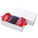 屋号必須 フルーツ用ギフト箱 ホワイトBOX こづちNo.1 350×170×125mm 1ケース40枚入 AA5215 オリカ