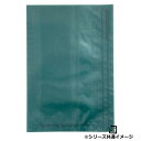 【屋号必須】フラットバッグ レーズン 17 16号 160×230mm 1パック10枚入 314337 星野 Flat Bag 平袋 花用 果実用