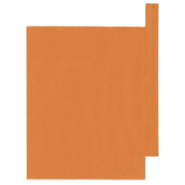 【屋号必須】びわ袋 果実袋 ビワ用オレンジ 大 6切止入 164×193.5mm 1ケース5000枚入 556007 星野 ビワ用