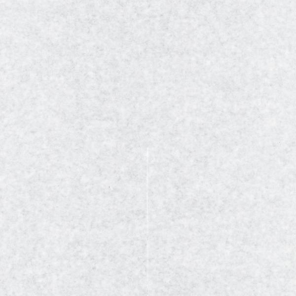 【屋号必須】ぶどう用 葡萄傘 ロー引傘 165角 165×165mm 1ケース10000枚入 553209 星野