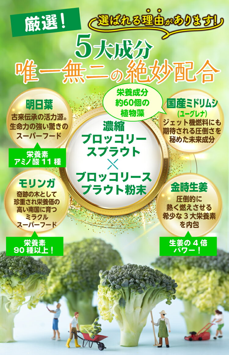 楽天市場 ブロッコリースプラウト サプリ 富山の薬屋さん健康食品 ブロッコリー新芽 スルフォラファン 含有 サプリメント スーパーフード ミロシナーゼ グルコラファニン グルコシノレート 富山の健康サプリ 宝蔵メディカル