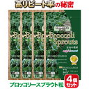 ブロッコリースプラウト サプリ お徳用4個セット 【富山の薬屋さんの健康食品】スルフォラファン 新芽使用スーパーフード ミロシナーゼ グルコラファニン グルコシノレート