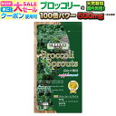 Mag-on マグオン エナジージェル 6味12本セット 【登山 マラソン ランニング トレイルランニング トライアスロン 行動食 補給食 エネルギーゼリー エナジーゼリー ジェル】