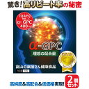 アルファGPC サプリ アルファジーピーシー 《お徳用2個セット》国内屈指のローコスト・高純度/高配合 Alpha-GPC【富山薬屋さんの健康食品】アルファGP...