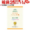 楽天富山の健康サプリ 宝蔵メディカルハトムギ 粒 サプリ はとむぎ サプリメント 超濃縮 はと麦エキス【お徳用 3個＋1個無料】医薬品工場製造 富山の薬屋 健康食品 理想の配合量 比べて下さい質と値段※ご注意：化粧水 茶 医薬品 ヨクイニン ではございません 宝蔵メディカル 福袋