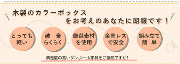 【楽々破棄】ウッドシリーズ3段 マルチラック扉付セット| ダンボール 段ボール 収納 家具 段ボール家具 ダンボール家具 軽い ラック 収納ボックス 棚 強化 カラーボックス インナーボックス 木目 木目柄 横置き 本棚 シェルフ 書棚 絵本 絵本ラック ダンボール本棚 福袋 フタ