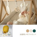 送料無料 ギフト ギフトセット 出産祝い プレゼント ベビージム アーチ プレイジム おもちゃ 木製 赤ちゃん ベビー 新生児 ナチュラル 天然 自然 セット ...