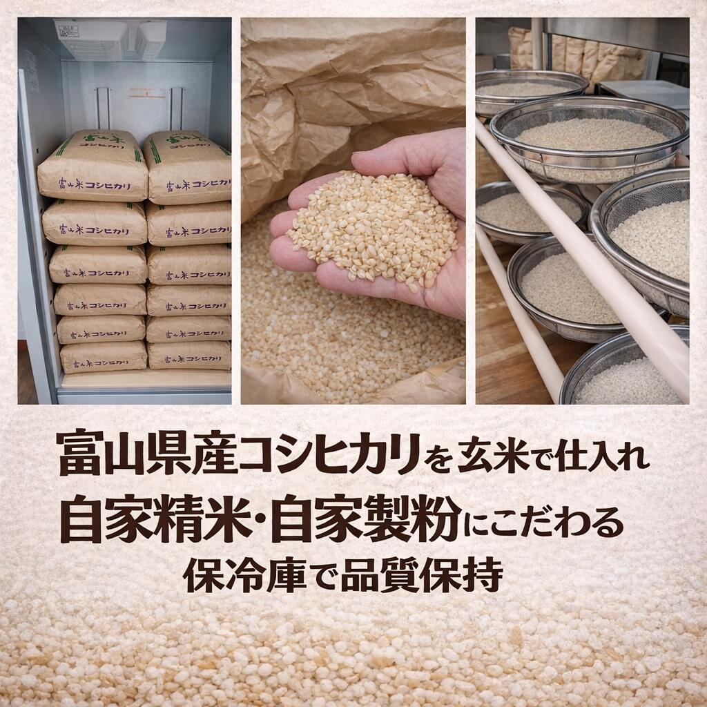 ��ʴ�Υӥ����åƥ� �Ƥ��ۻ� �ٻ����������Ҥ��� ���ۻ� ̵ź�� ����ƥ�ե꡼ ���٤�2�ĥ��å� ����̵��