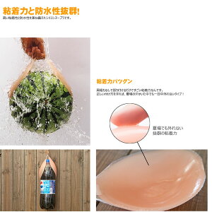 シリコンヌードブラ、シリコン胸パッド、ビーチグッズ、ビーチ小物、水着用パッド、水着レディース、ヌードブラ、ブラパッド、粘着力/防水性抜群、ドレス、ビキニ、通販、楽天