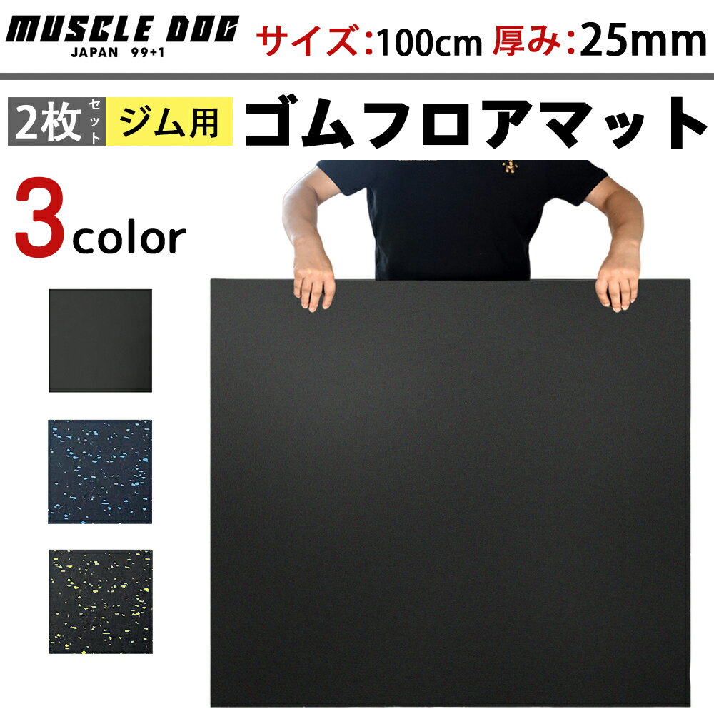 ジムマット 2枚セット 100×100 厚み25mm ゴムマット 筋トレ 衝撃吸収 トレーニングマット ラバーマット 重量器具