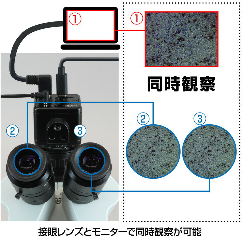 �ۡ�����(HOZAN) ������θ����� �ʥ�˥����ѡ� L-KIT1258