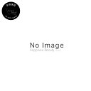 ブラシ 6OB N アイブロー用 1本 shu uemura 【送料無料(本州・四国限定)】 シュウ ウエムラ メイクブラシ プロ用 シュウ ウエムラ 本物保証