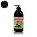 【送料無料(本州・四国限定)】 ナプラ ケアテクトHBカラーシャンプー V ハリコシタイプ750ml(napla caretect hb)ヘアカラー用ダメージケアシャンプー ノンシリコンシリコンフリー 根元にボリュームを出したい方に