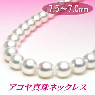 ��䤫�ʵ����������俿��ͥå��쥹��7.5��7.0�ߥ��