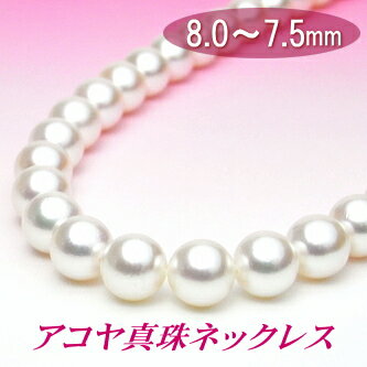 �Ȥ��פ���¸�ߴ��������俿��ͥå��쥹��8.0��7.5�ߥ��