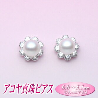乐天商城 - アコヤ真珠 ピアス （6.0〜5.5mm）( パール あこや真珠 本真珠 )