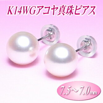 乐天商城 - K14WGアコヤ真珠ピアス（7.5〜7.0ミリ）