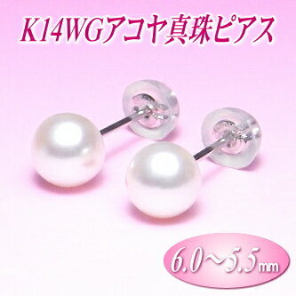 K14WG アコヤ真珠 ピアス （6.0〜5.5ミリ）( 真珠 パール WG ホワイトゴールド あこや真珠 本真珠 )