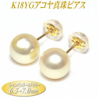 アコヤ真珠 K18イエローゴールド ピアス シャンパンゴールドカラー 6.5-7.0mm ( 真珠 パール K18 18金 18k YG あこや真珠 本真珠 真珠ピアス パールピアス )