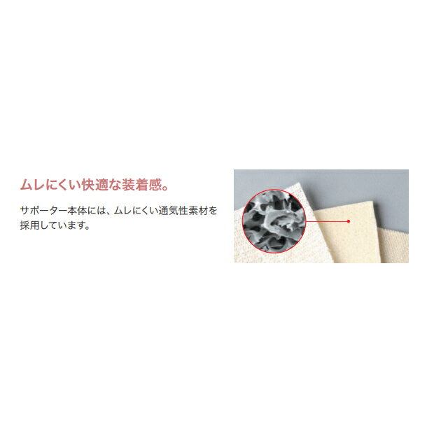 シグマックス マックスベルトSE エスイー S...の紹介画像3
