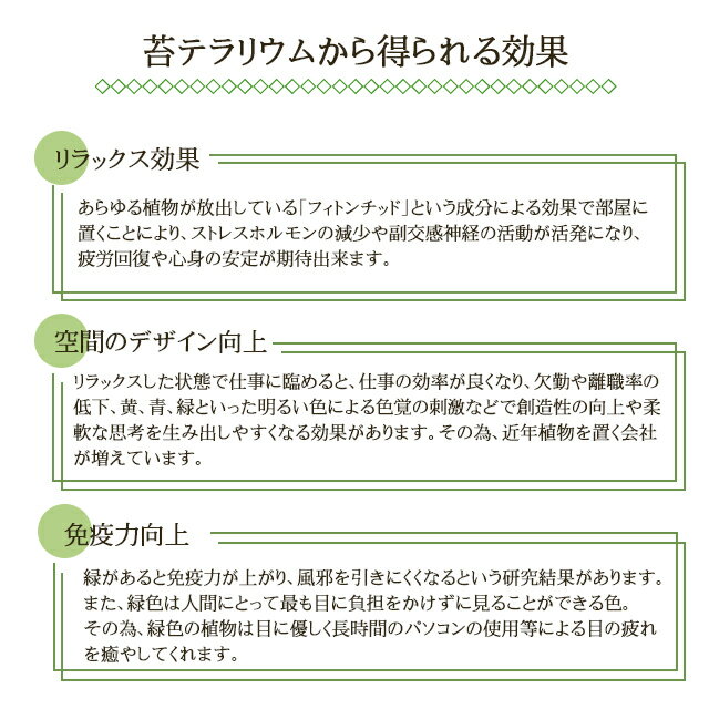 �ڥݥ����5�ܡۡڴ����϶����(�²λ�����)�����٤륫�顼 LED������ �ݥƥ�ꥦ�� �ե����� Moss terrarium ��߷¤��ڤ������ ���� ����ƥꥢ ���տ�ʪ �ܥȥ�ƥ�ꥦ�� ���� �� ���� ŷ���Х��å������� �ȱ��ϸ���ۡ�ľ���ΰ١�������Բġ�