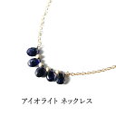 アイオライト パワーストーン 天然石 ペンダント ネックレス 【人生のお守り 恋愛 結婚のお守り石 アイオライト ネックレス】首飾り 14KGF 幸運 恋愛 開運 お守り 運勢UP 占い レディース かわいい おしゃれ ギフト チェーン 14金ゴールドフィールド