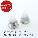 2025年 ラッキーカラー 盛り塩パワーオルゴナイト