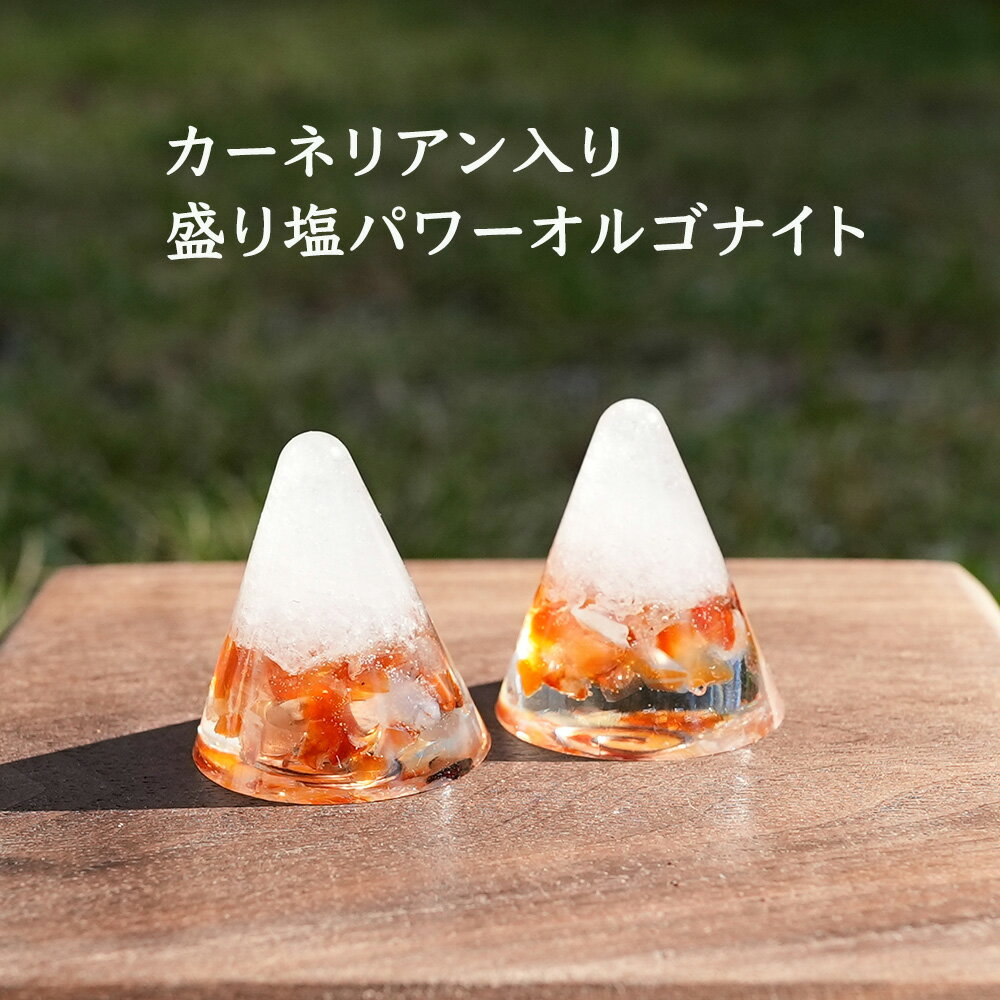 盛り塩 オルゴナイト パワーストーン カーネリアン【守られた空間を作りませんか？ カーネリアン入り 盛り塩パワーオルゴナイト さざれ水晶25g付】引越し 厄除け ギフト 風水 玄関 トイレ 浄化 ヒーリング 開運アイテム インテリア 雑貨 占い