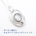 パワーストーン ペンダント 天然石 ギベオン隕石 モルダバイト ペンダントトップ 【縁のある人の元へしかやって来ない 幸運を招く ギベオン隕石 と モルダバイト...