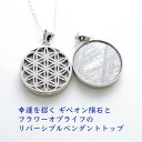 パワーストーン ペンダント 天然石 ギベオン隕石 隕石 神聖幾何学 ペンダントトップ 【縁のある人の元へしかやって来ない 幸運を招く ギベオン隕石とフラワーオブ...