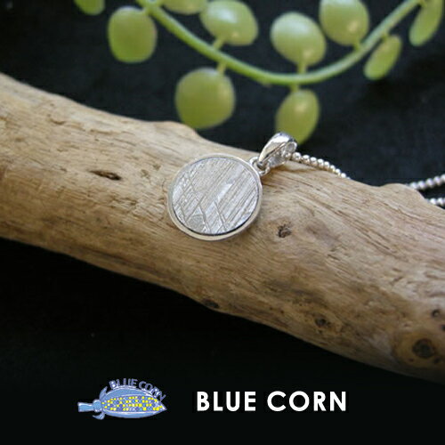 パワーストーン 天然石 ギベオン隕石 隕石 ペンダント ネックレス 【縁のある人の元へとやってくる 隕石のペンダントトップ】幸運 開運 お守り メンズ レディー...