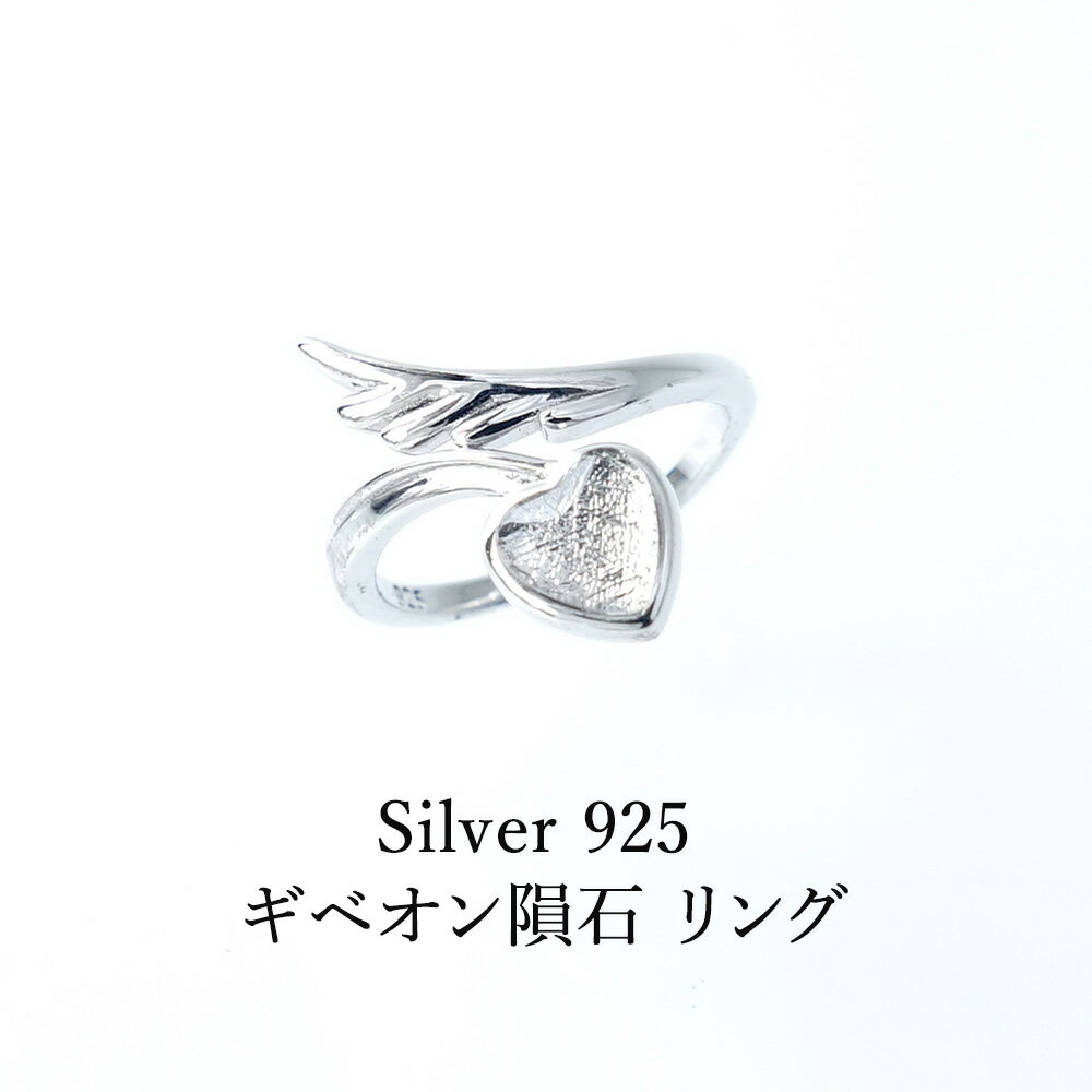 楽天市場】ギベオン隕石 リングの通販