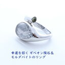 パワーストーン ペンダント 天然石 ギベオン隕石 モルダバイト リング 【縁のある人の元へしかやって来ない 幸運を招く ギベオン隕石 と モルダバイトのリング】...