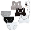 【レビュー特典 10%OFF】