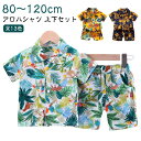 【レビュー特典 20%OFF】上下セット ベビー服 アロハシャツ ショートパンツ 子供服 キッズ 男の子 半袖シャツ 総柄 ハワイ風 ビーチウェア 幼児服 旅行 80 90 100 110 120cm ビーチシャツ リゾート 花柄シャツ 夏 綿 可愛い おしゃれ 海 カジュアルシャツ 葉柄 遊