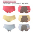 生理用 レディースインナー パンツ 防水布付き 後ろ漏れ防止 サニタリーショーツ 夜用 5枚入り 下着 夜用ショーツ 生理用ショーツ 漏れないショーツ 多い日用...