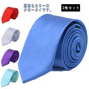 【レビュー特典 20%OFF】型押し スリムタイ 選べる40色 2枚セット 細いネクタイ 無地 ナロータイ 細い ネクタイ メンズ レディース レッド 赤 ブラ...