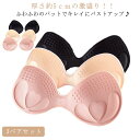 【レビュー特典 20%OFF】ブラカップ ブラパッド ブラパット 一体型/スプリットタイプ 厚5cm 極厚 一体型/スプリットタイプ バストアップ パット取り外...