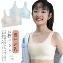 【レビュー特典 20%OFF】スポーツブラ ジュニア 2枚セット キッズ ノンワイヤー インナー ジュニアブラ 下着 中学生 小学生 女の子 ファーストブラ ブラジャー シームレス ナイトブラ パッド付き 吸汗速乾 ハーフトップ