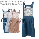 【レビュー特典 20%OFF】デニム×透かし編みレースデザイン!エプロン ワンピース おしゃれ カフェエプロン ガーデニング ワークエプロン キッチン H型 レース カフェ 母の日 料理教室 ブルー グレー ブラウン