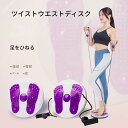 【レビュー特典 20%OFF】ロープ付きツイストボード 大型マグネット内蔵 回転バランス盤|ウエストツイスト・ねじり運動|体幹トレーニング器具|お腹引き締め・ヒ...