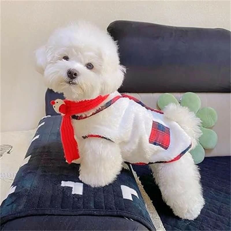 ��� �ե��å���� �ɴ��� ���� �ɥå������� ���� ������ ������ �ڥå��� T����� ���� �� ���㥱�å� �Ҹ��� ���� ���� ǭ��