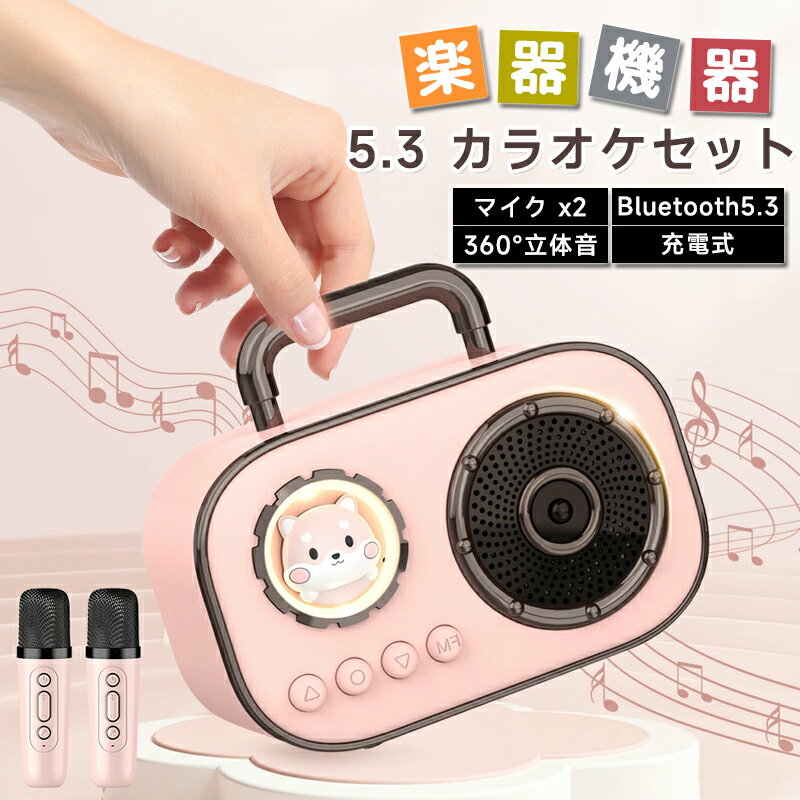 カラオケセット スピーカーセット 【マイク2本付き】 小型 ミニ Bluetooth スマホスピーカー 高音質 防塵 大音量 家庭用カラオケセット 拡声器 録音機能搭載 伴奏機能付き LEDライト付き SDカード 家庭用